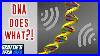 Is-Your-Dna-An-Emf-Antenna-01-wjqh